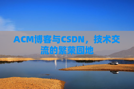 ACM博客与CSDN，技术交流的繁荣园地