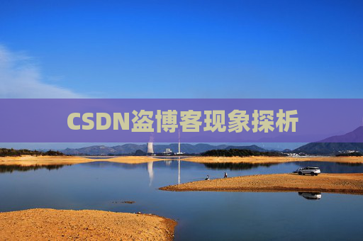 CSDN盗博客现象探析